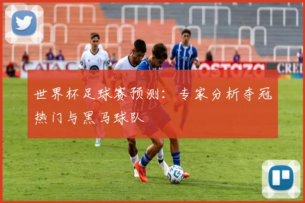 世界杯足球赛预测：专家分析夺冠热门与黑马球队
