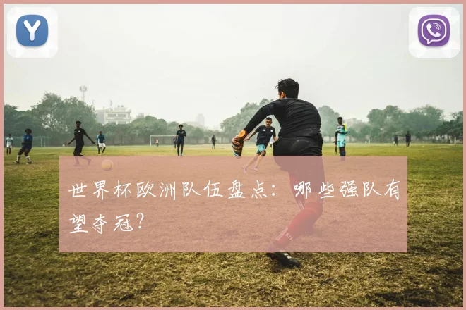 世界杯欧洲队伍盘点：哪些强队有望夺冠？