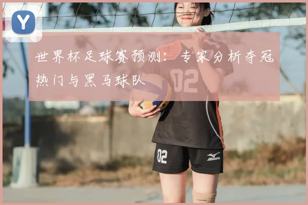 世界杯足球赛预测:专家分析夺冠热门与黑马球队