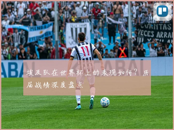 埃及队在世界杯上的表现如何？历届战绩深度盘点