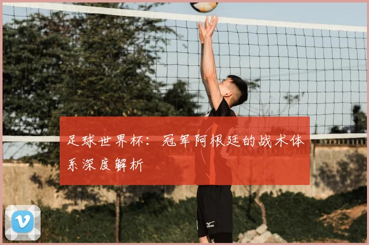足球世界杯：冠军阿根廷的战术体系深度解析