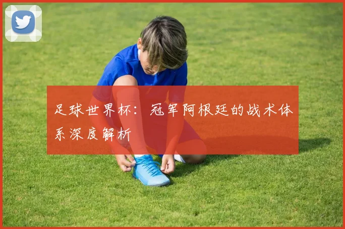 足球世界杯：冠军阿根廷的战术体系深度解析